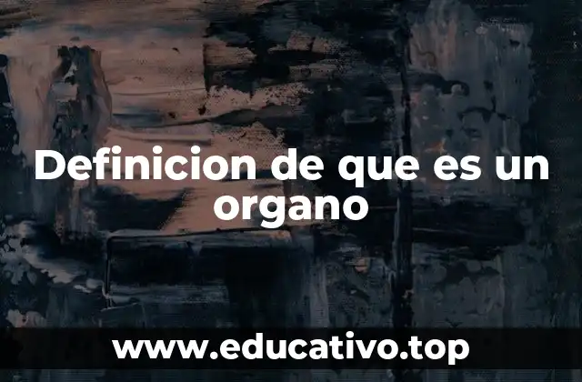 Definicion de que es un organo