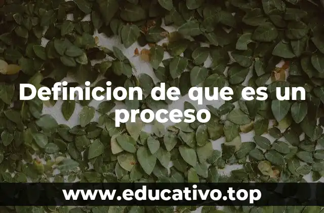 Definicion de que es un proceso