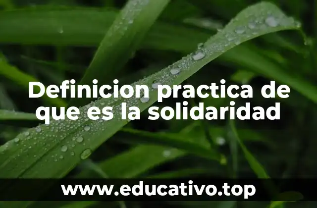 Definicion practica de que es la solidaridad
