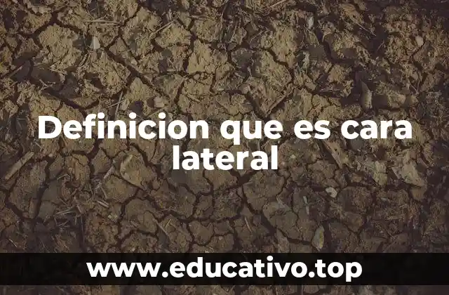 Definicion que es cara lateral