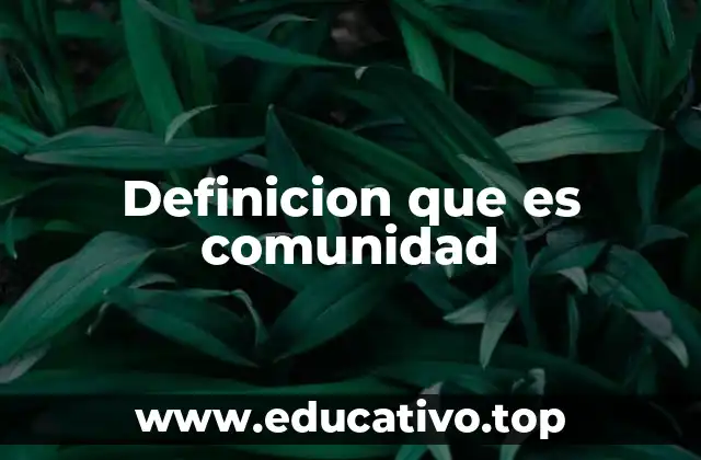 Definicion que es comunidad