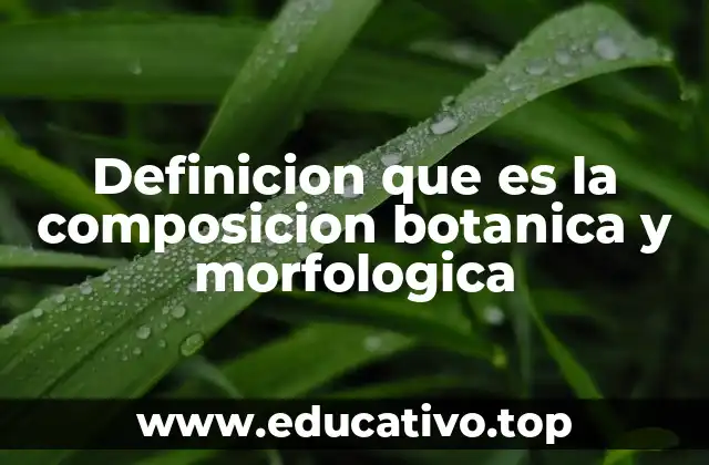 Definicion que es la composicion botanica y morfologica