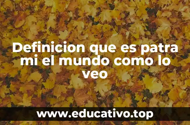 Definicion que es patra mi el mundo como lo veo