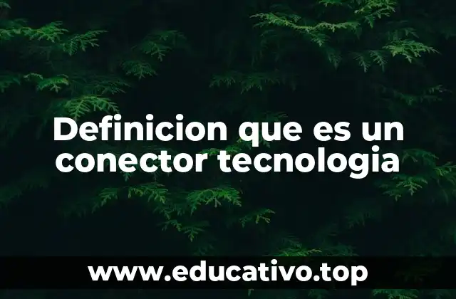 Definicion que es un conector tecnologia