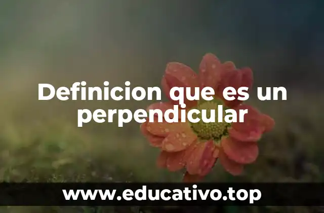 Definicion que es un perpendicular