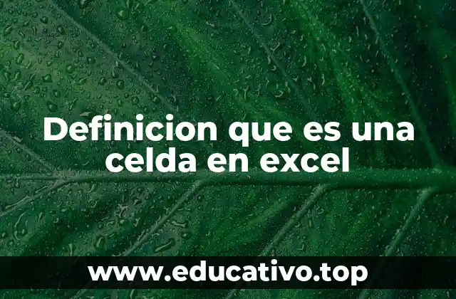 Definicion que es una celda en excel