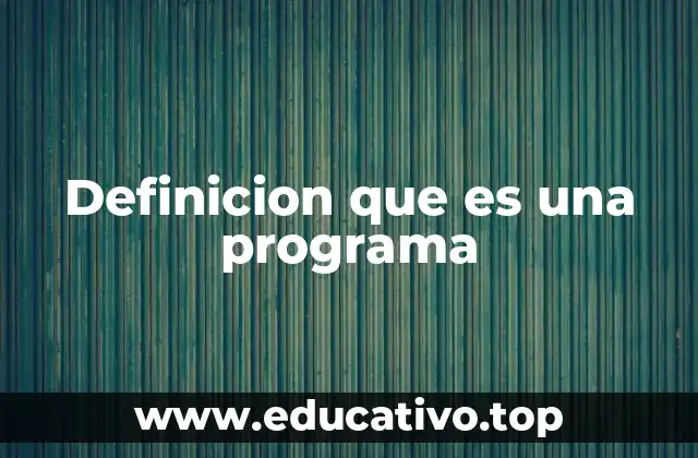 Definicion que es una programa