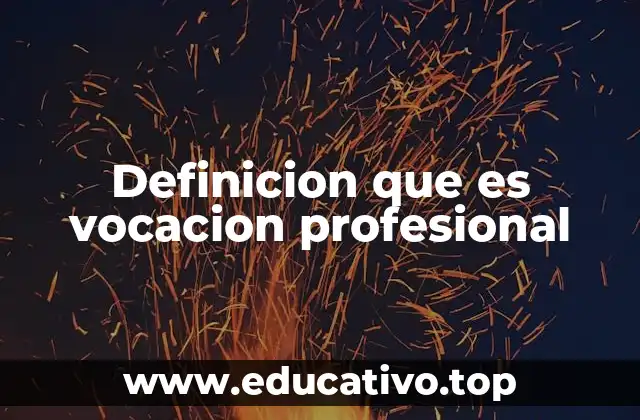 Definicion que es vocacion profesional