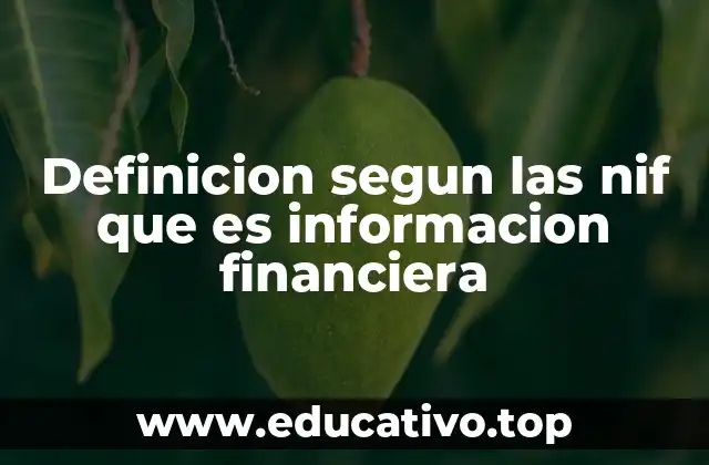 Definicion segun las nif que es informacion financiera