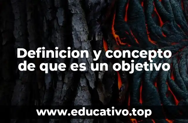 Definicion y concepto de que es un objetivo