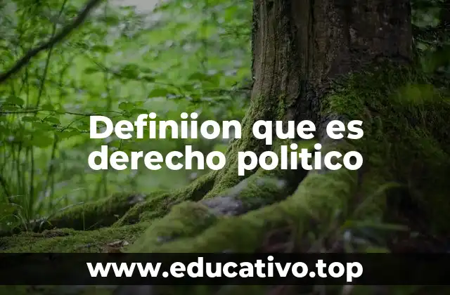 Definiion que es derecho politico