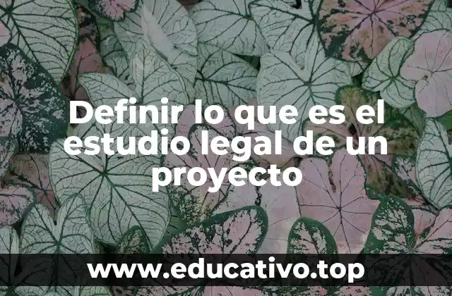 Definir lo que es el estudio legal de un proyecto