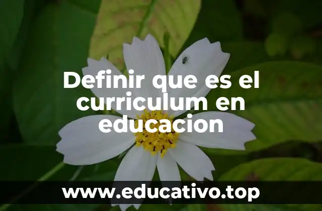 Definir que es el curriculum en educacion