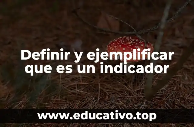 Definir y ejemplificar que es un indicador