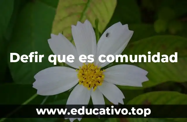 El papel de las comunidades en el desarrollo social