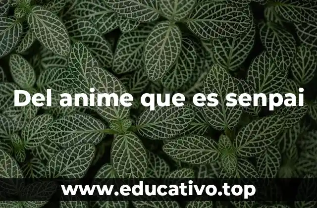 Del anime que es senpai