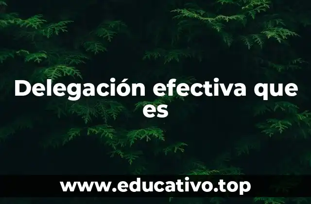 Delegación efectiva que es