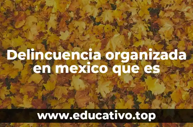 El papel de las organizaciones criminales en el desarrollo de la delincuencia en México