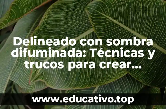Delineado con sombra difuminada: Técnicas y trucos para crear efectos visuales impactantes