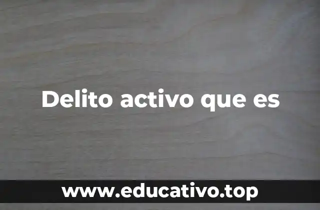 Delito activo que es