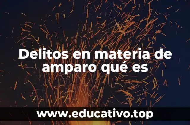 Delitos en materia de amparo qué es