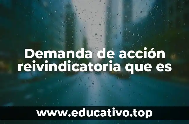 Demanda de acción reivindicatoria que es