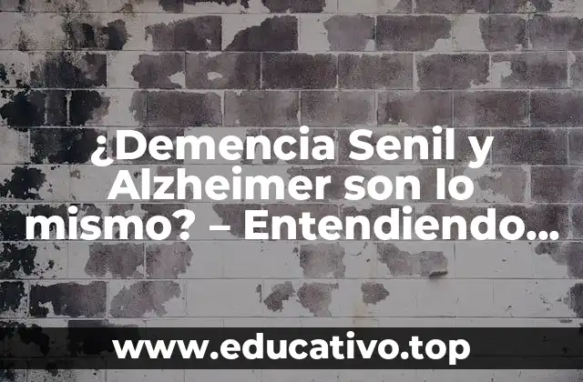 ¿Demencia Senil y Alzheimer son lo mismo? – Entendiendo la Relación entre ambas