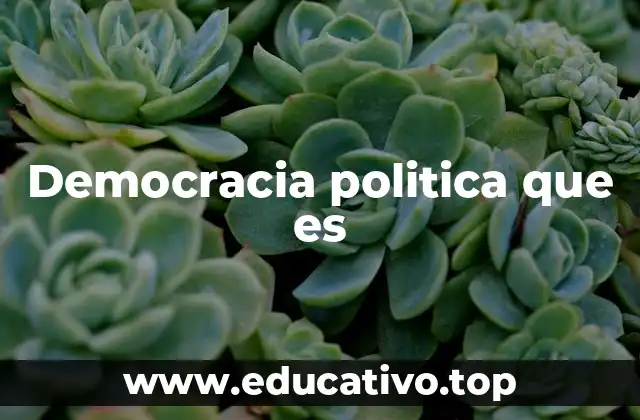 Democracia politica que es