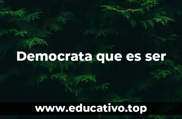 Democrata que es ser