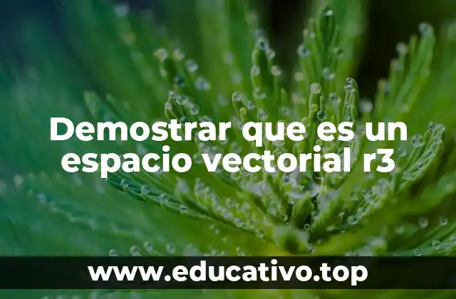 Demostrar que es un espacio vectorial r3