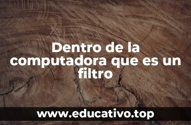 Dentro de la computadora que es un filtro