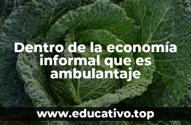 Dentro de la economía informal que es ambulantaje
