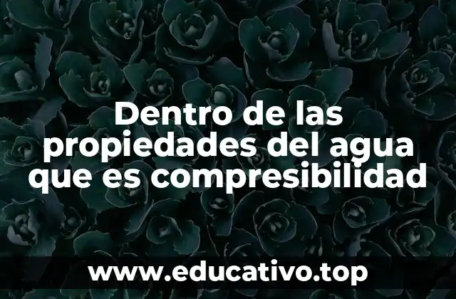 Dentro de las propiedades del agua que es compresibilidad