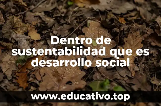 Dentro de sustentabilidad que es desarrollo social