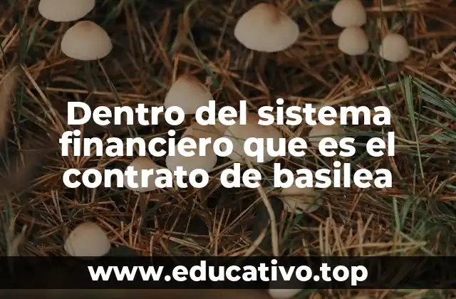 Dentro del sistema financiero que es el contrato de basilea