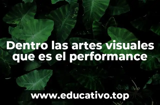 Dentro las artes visuales que es el performance