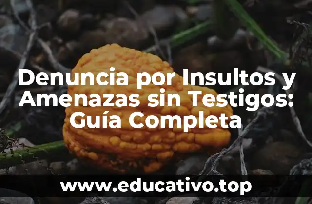 Denuncia por Insultos y Amenazas sin Testigos: Guía Completa