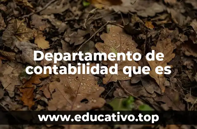 Departamento de contabilidad que es