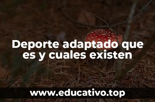 Deporte adaptado que es y cuales existen