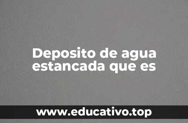 Deposito de agua estancada que es