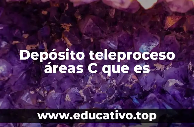 Depósito teleproceso áreas C que es