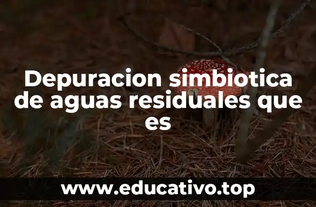 Depuracion simbiotica de aguas residuales que es