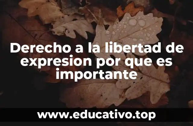 Derecho a la libertad de expresion por que es importante