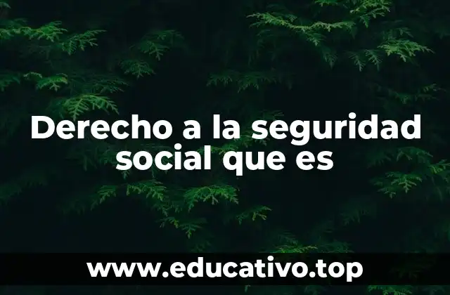 Derecho a la seguridad social que es