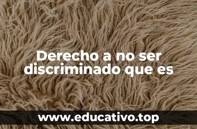 Derecho a no ser discriminado que es