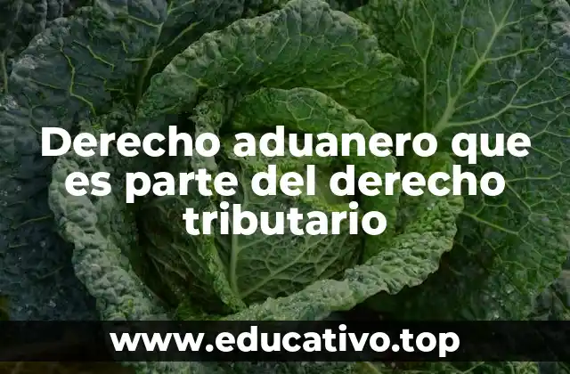 Derecho aduanero que es parte del derecho tributario
