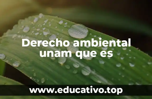 Derecho ambiental unam que es