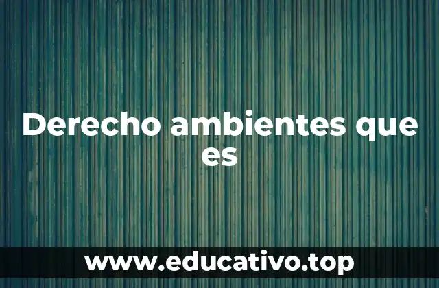 Derecho ambientes que es