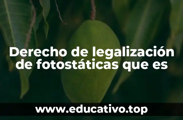 Derecho de legalización de fotostáticas que es