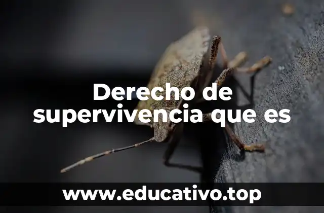 Derecho de supervivencia que es